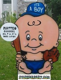 Baby lawn sign