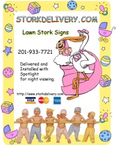 Stork Rentals